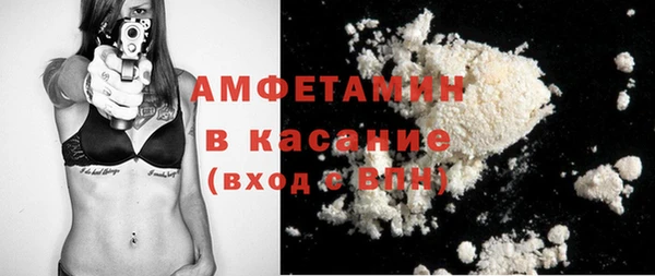 твердый Ладушкин
