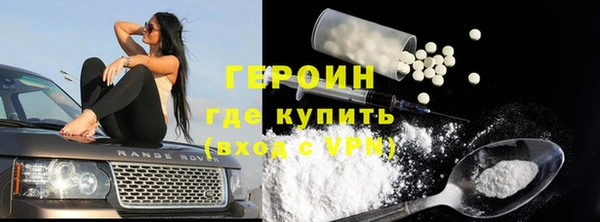 твердый Ладушкин