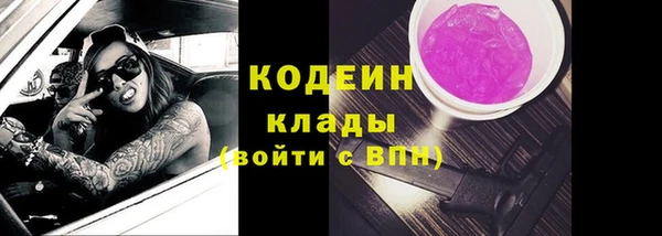 твердый Ладушкин