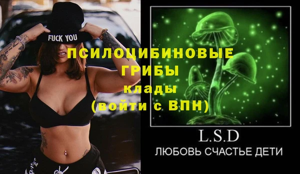 твердый Ладушкин