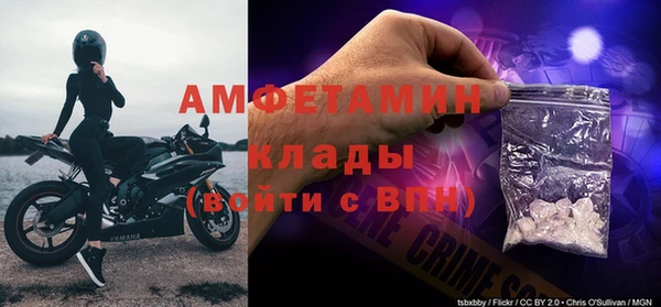 твердый Ладушкин