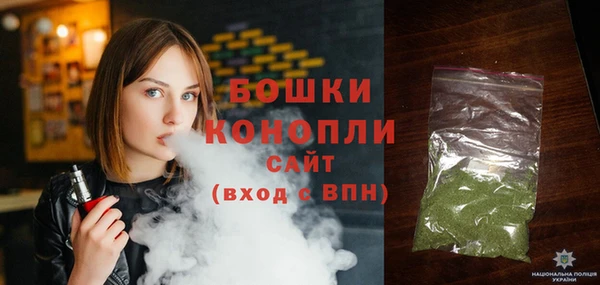 твердый Ладушкин
