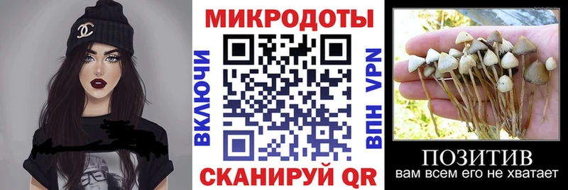 купить закладку  Долинск  Галлюциногенные грибы Psilocybe 